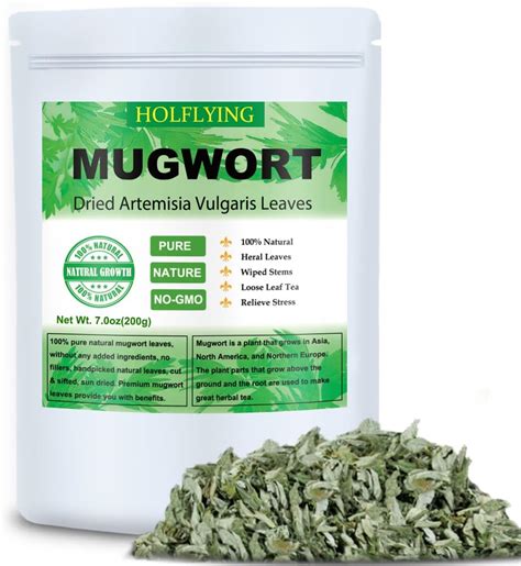 Amazon HOLFLYING Dried Mugwort Leaves 7 0oz 200g Mugwort Leaf