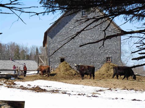 Kings Landing Historical Settlement My New Brunswick