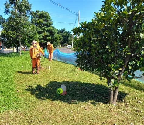 Prefeitura Realizará Mutirão De Limpeza No Cidade Aracy