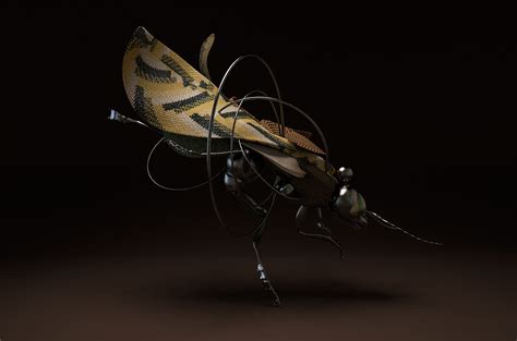 Cecropia on Behance
