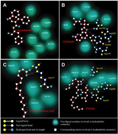 Ligplot Diagrams Illustrating Protein Ligand Interactions A Download Scientific Diagram