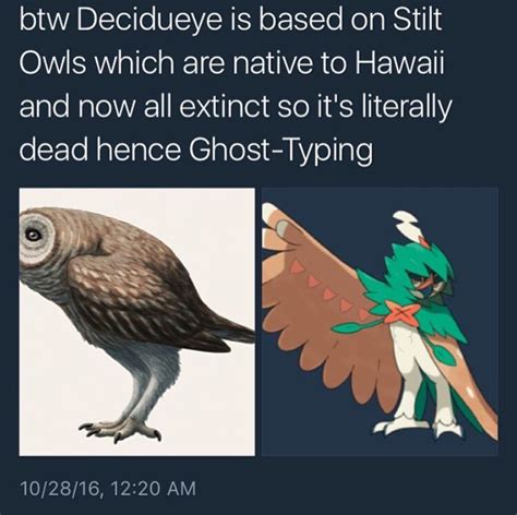 Decidueye s Origin Pokémon Sun and Moon Know Your Meme