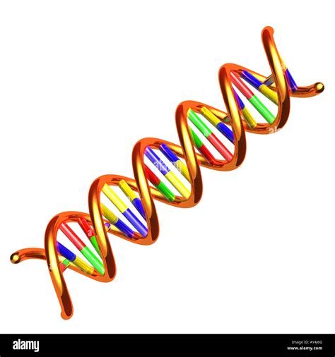 Dna chip oder biochip Fotos und Bildmaterial in hoher Auflösung Alamy