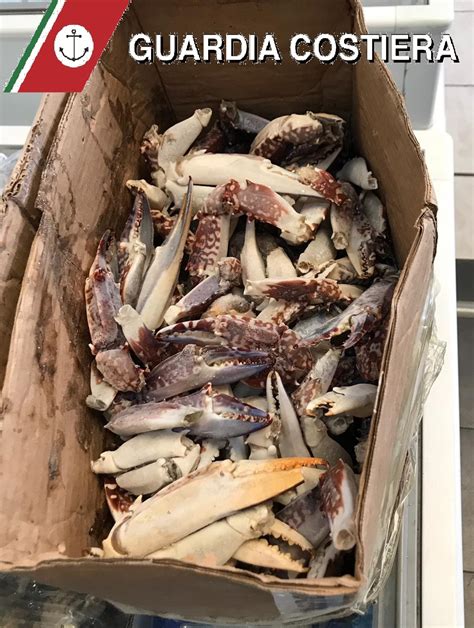 Sequestrati 265 Chili Di Pesce Non Tracciato Pizzicati 8 Venditori