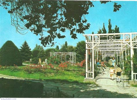 Timişoara - Roses Park, Timișoara - Romania - Postcard - 1919