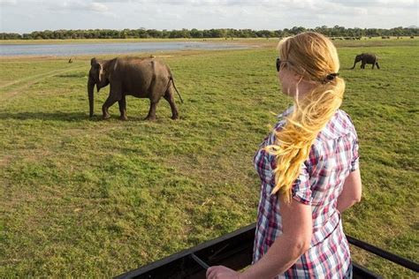 Tripadvisor Excurs O Ao Encontro M Gico De Elefantes No Parque