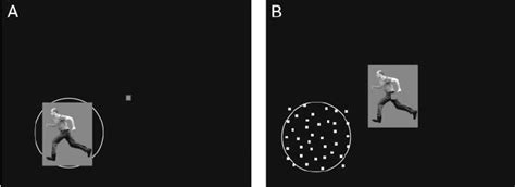 Schematic Representation Of The Stimulus Presentation For Experiments 1