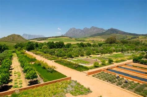 Travels of a Madman: 6 beautiful gardens to visit in Cape Town