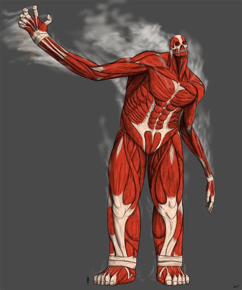 The Colossal Titan by sphenaphinae on DeviantArt