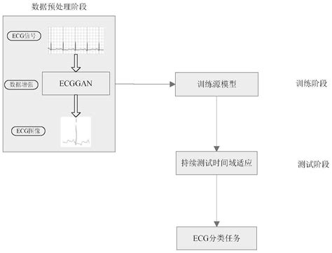 一种基于持续测试时间适应的心率失常分类方法