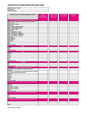 Fillable Online Workplace Bitc Org DiversityMonitoringReport