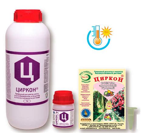Желтая туя после зимы: что делать, удобрение для туи от пожелтения