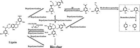 Possible Reaction Routes Of Lignin Depolymerization Over The Hzsm