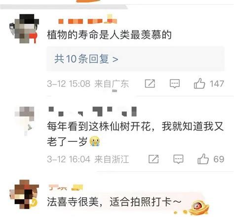 苦等7小时！杭州这里人山人海，半个城的摄影师赶来了？ 口水杭州 杭州19楼