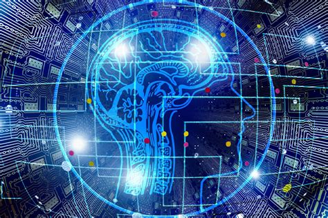 filter information rod matthews