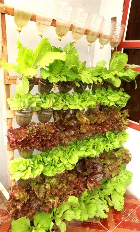 35 Creative Container Vegetable Garden Ideas A Piece Of Rainbow