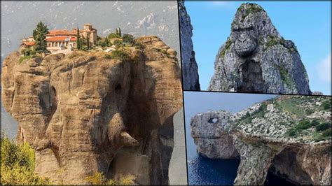 The Enchanting World Of Animal Shaped Rocks A Journey Through Natures