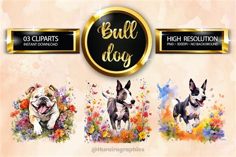 Bulldog Clipart Bundle 03 Variations Graphic by Hurairagraphics ...