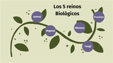 Los 5 Reinos Biológicos By Estefanía Ramírez On Prezi