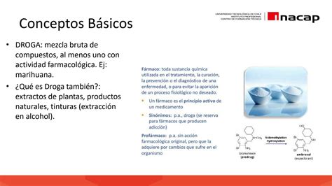 Solution Clase Conceptos B Sicos De Farmacolog A V As De