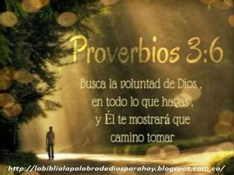 La Biblia La Palabra De Dios Para Hoy Proverbios Bíblicos de amor