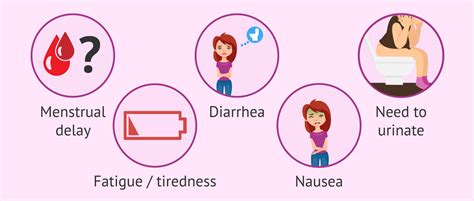 What Are The Symptoms Of Embryo Implantation