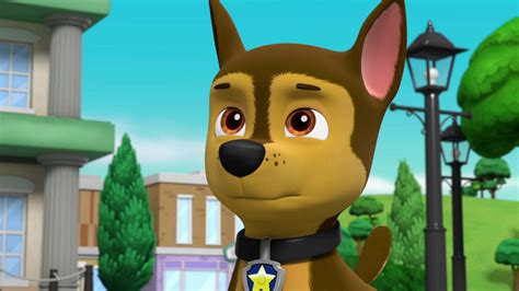 Schau Paw Patrol Helfer Auf Vier Pfoten Staffel 5 Folge 7 Paw Patrol