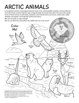 Arctic Animals coloring page by Sara Cramb | TPT