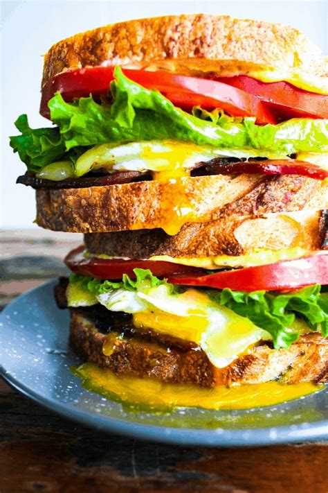 15 Healthy Gourmet Sandwich Recipes to Keep You Satisfied All Day