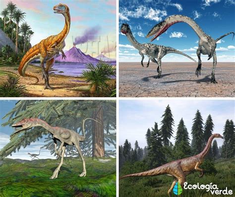 Dinosaurios CarnÍvoros Nombres Tipos Características E Imágenes