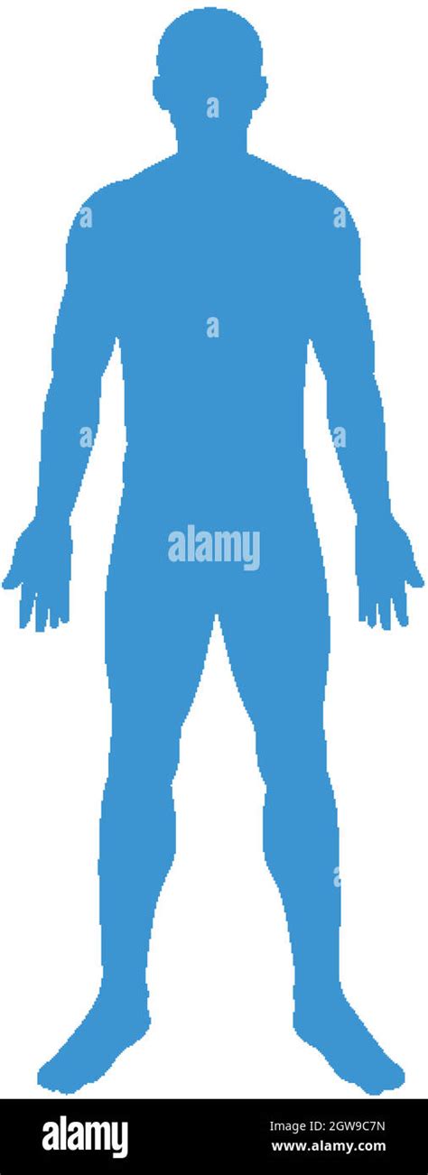 Human Body Vector Silhouette