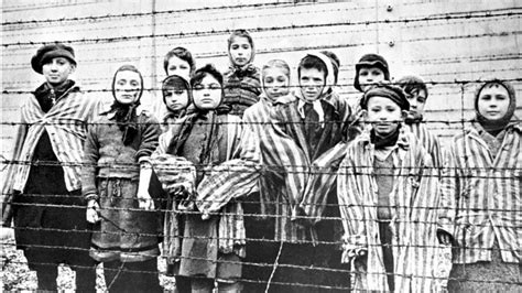 How Many Auschwitz Survivors