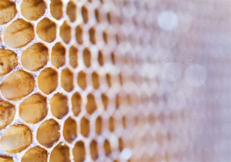 texture of honeycomb | Food photography tutorial, Honeycomb, Texture