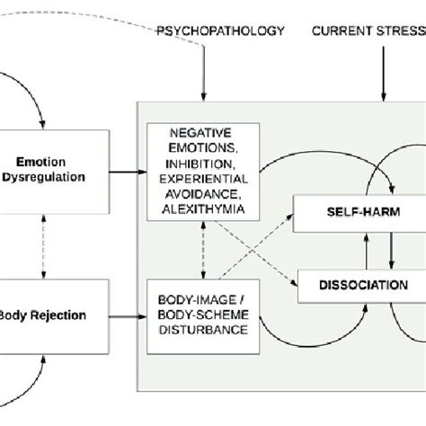 The Development Of Links Between Trauma Dissociation And Self Harm