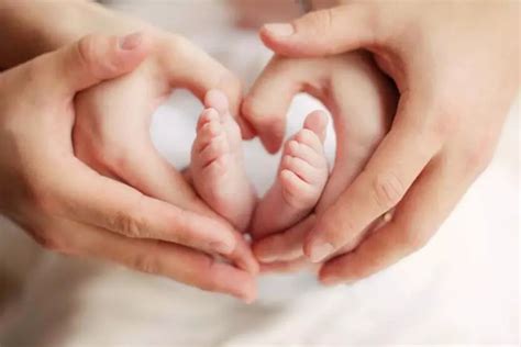 Cyprus Crown IVF The Best IVF Clinic In Cyprus For Your Fertility