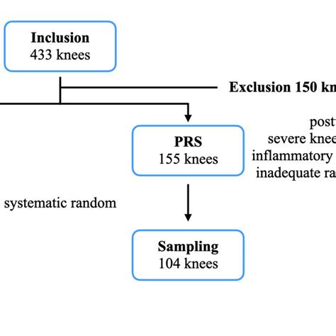 Sample Selection And Grouping Procedures Download Scientific Diagram