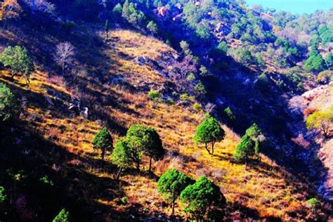 【蒙古记忆】梅力更景区特色【蒙古记忆】梅力更景区特色 旅游 川北在线