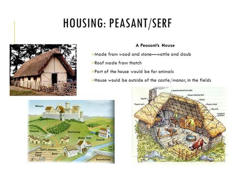 Medieval Serf House