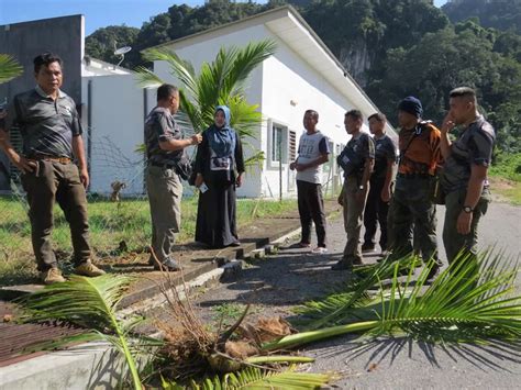 Penduduk Bimbang Gajah Liar Ceroboh Kawasan Perumahan Malaysia