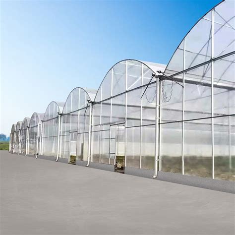 High Tunnel Venlo Automation System Polycarbonate Sheet Greenhouse For