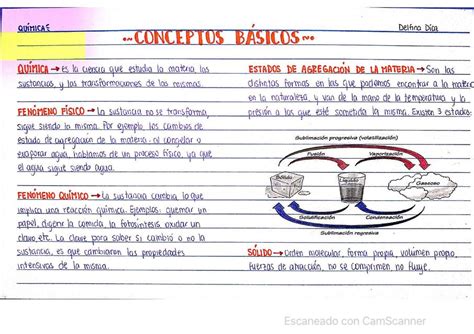 Conceptos B Sicos De Bioqu Mica