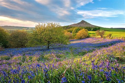 Complete Guide To The National Trust In Yorkshire