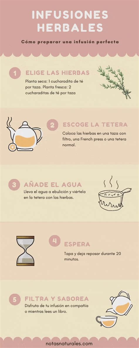 Cómo preparar infusiones de hierbas infografía Notas Naturales