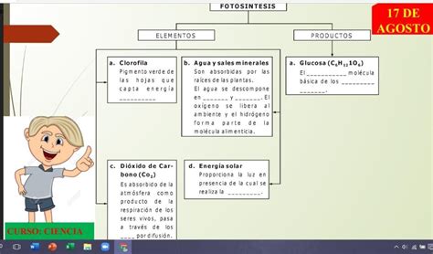 Ayuda Por Favor Necesito Que Me Expliquen Que Pongo En Los Espacios