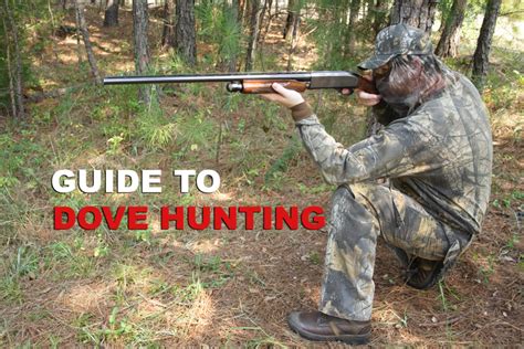 How To Dove Hunt The Basics For Beginners