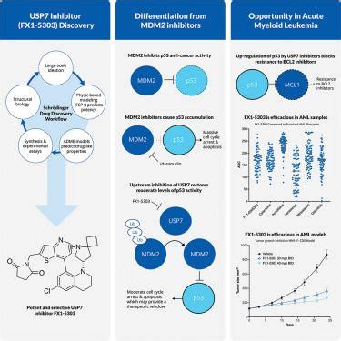 Ubiquitin Specific Protease Inhibitors Reveal A Differentiated