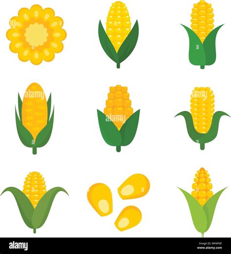 Corn Icons Set Flat Set Of Corn Vector Icons For Web Design Stock