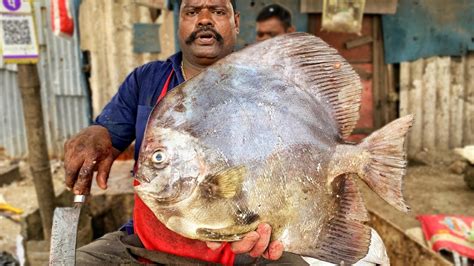 Kasimedu Speed Selvam Big Size Black Spade Fish Cutting Video K