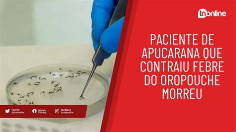 Apucarana Registra Caso De Febre Do Oropouche Paciente Morreu Youtube