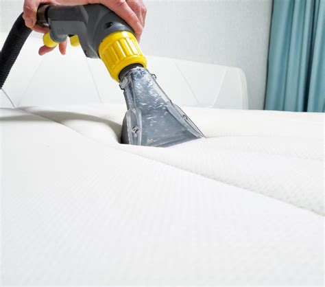 Is Steam Cleaning Effective In Removing Stains Carpet Cleaners Kingston